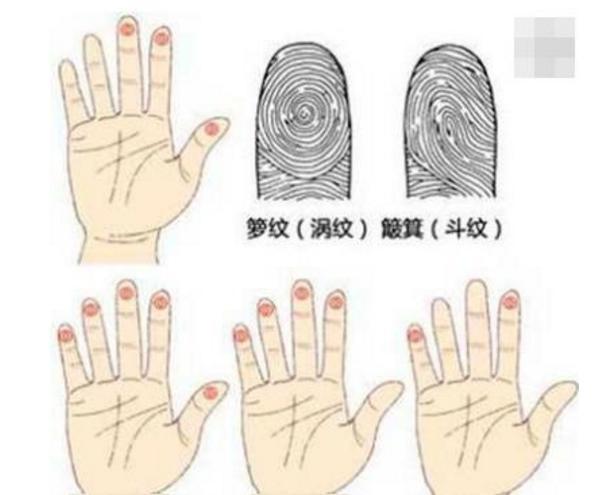 科普展现:两个斗女人命运（两个斗的女人）