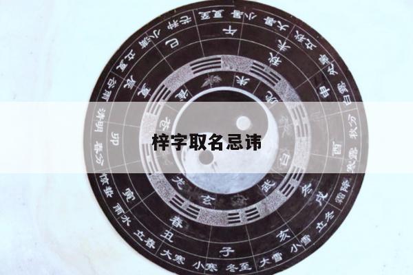 梓字取名忌讳