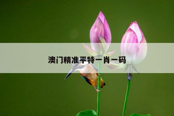 澳门精准平特一肖一码