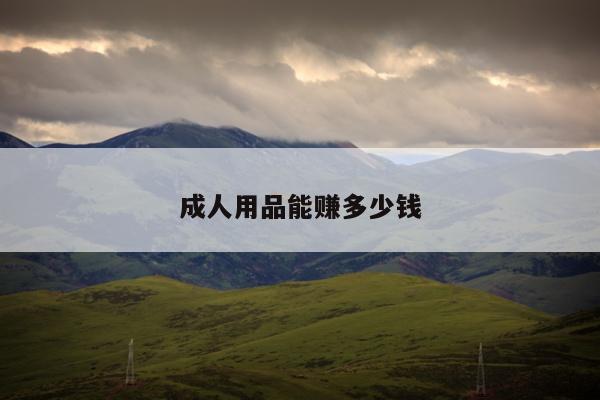 成人用品能赚多少钱