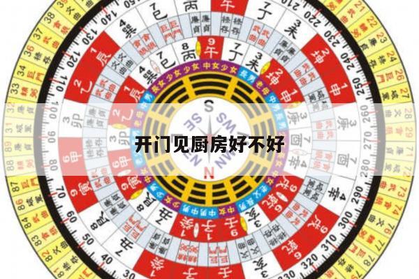 开门见厨房好不好