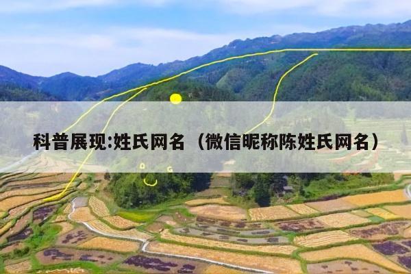 科普展现:姓氏网名（微信昵称陈姓氏网名）
