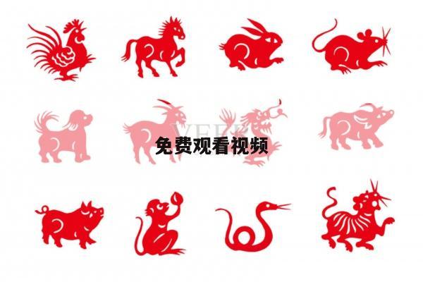 免费观看视频
