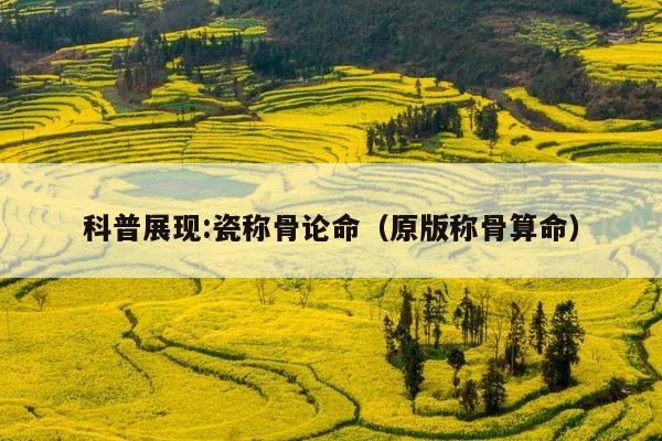 科普展现:瓷称骨论命（原版称骨算命）