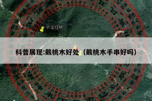 科普展现:戴桃木好处（戴桃木手串好吗）