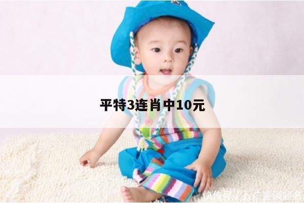 平特3连肖中10元