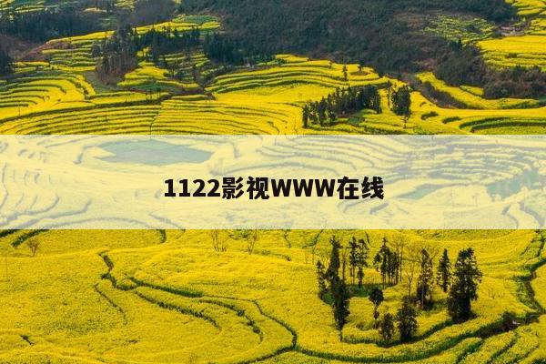 1122影视WWW在线