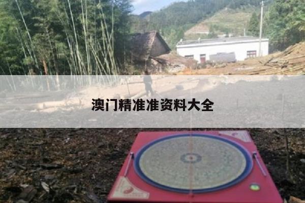 澳门精准准资料大全