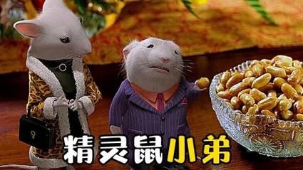 精灵鼠小弟2国语版电影说普通话,精灵鼠小弟二国语版