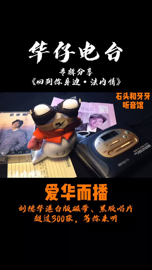 法内情大结局,法内情大结局 电影