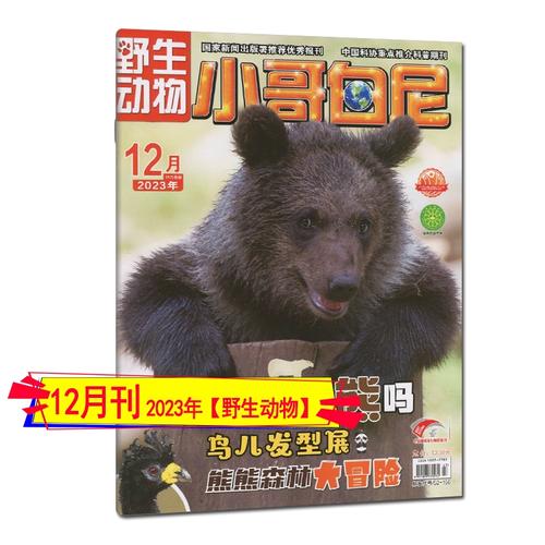 2024全年正版资料大全,2021正版资料大全全年四年老玩家揭秘