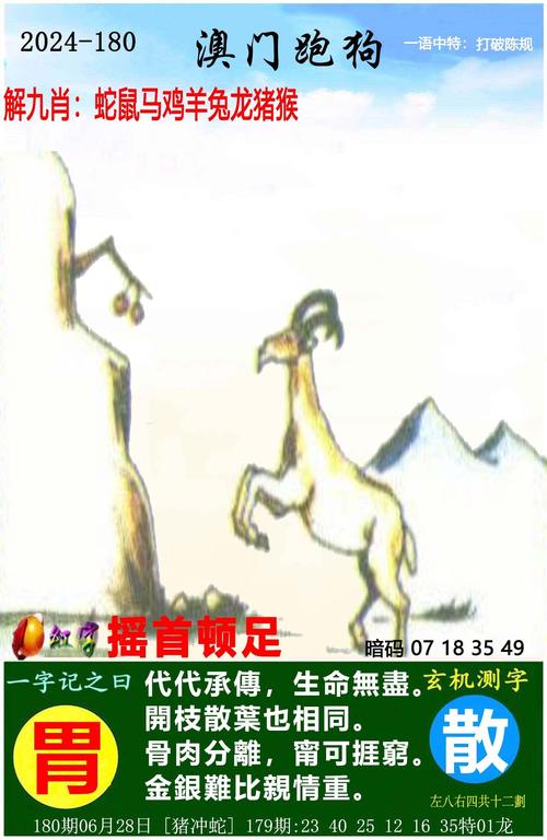 一码必中特公式计算,一码必中特公式计算2024