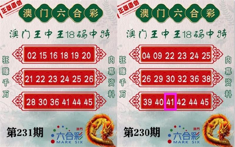 澳门精准免费资料大全聚侠网凤凰,澳门精准免费资料大全聚侠网凤凰艺术
