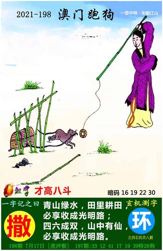 香港彩六合图图库,