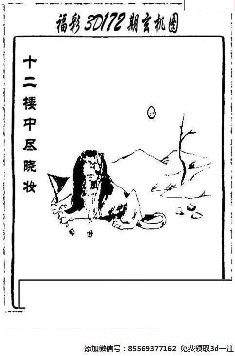 抓码王资料大全抓码王,抓码王资料大全抓码王聊