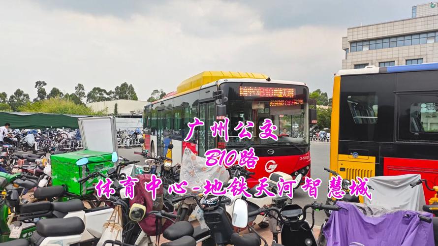 体育中心公交车路线,体育中心公交车路线查询